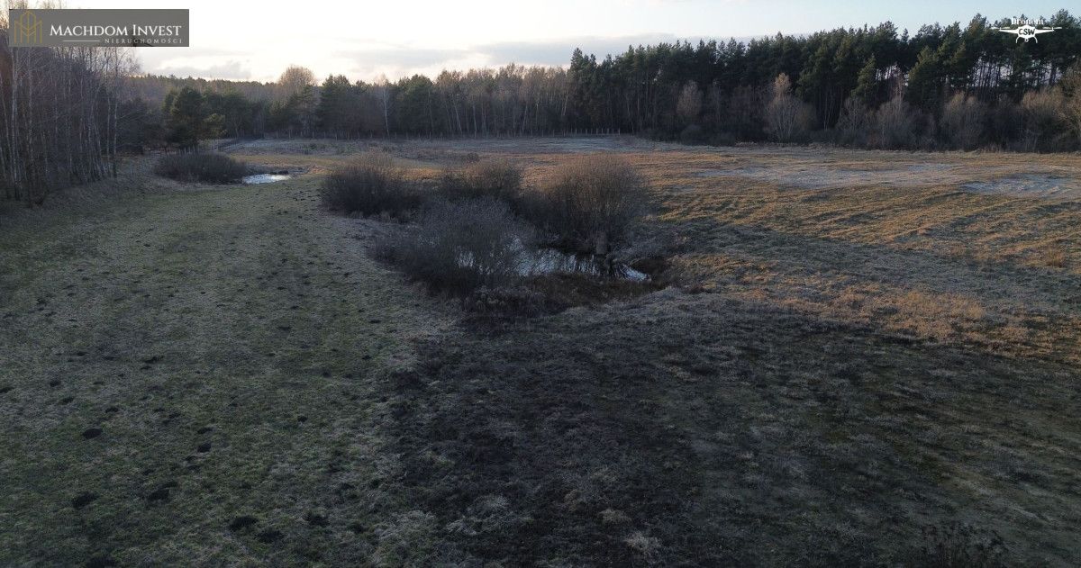 Działka inwestycyjna Laskowice. Zdjęcie 6