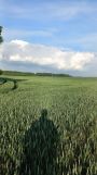 Działka rolna Cieszanowice. Zdjęcie 1