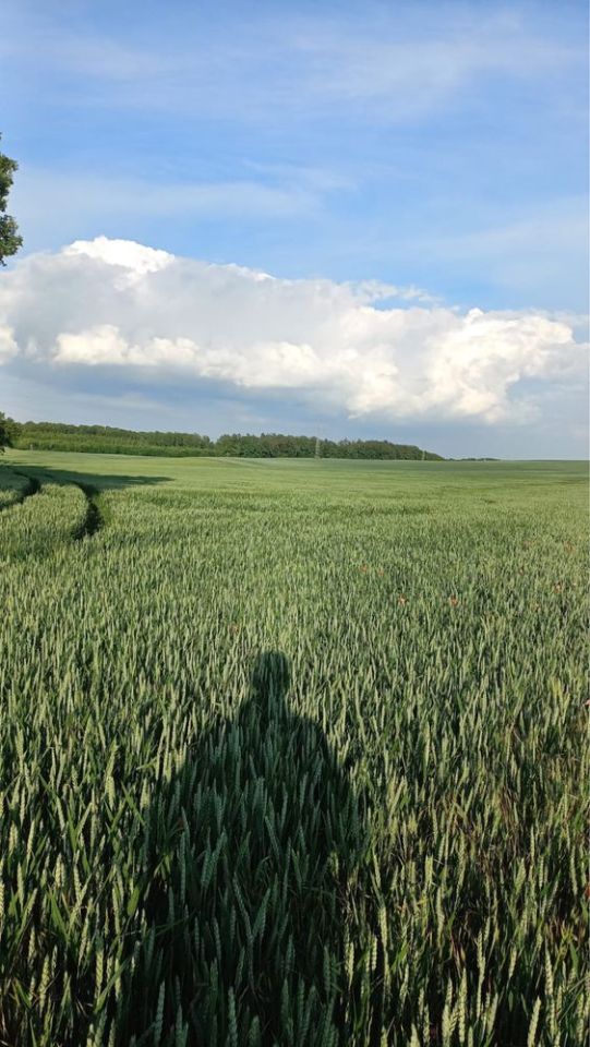 Działka rolna Cieszanowice. Zdjęcie 2