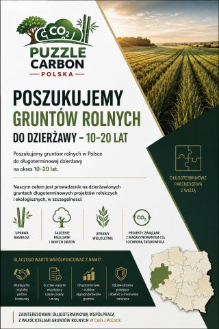 Działka rolna Kotla, Kotla. Zdjęcie 1