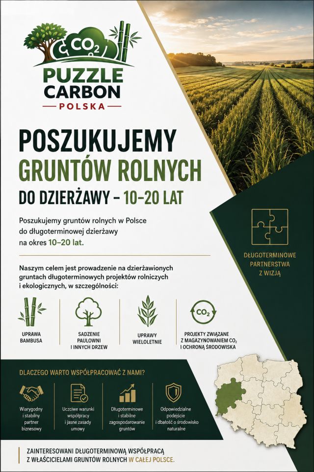 Działka rolna Kotla, Kotla. Zdjęcie 1