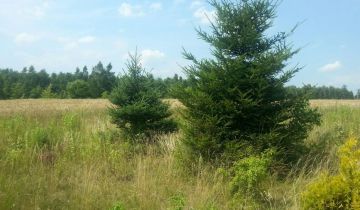 Działka budowlana Ścibiorów