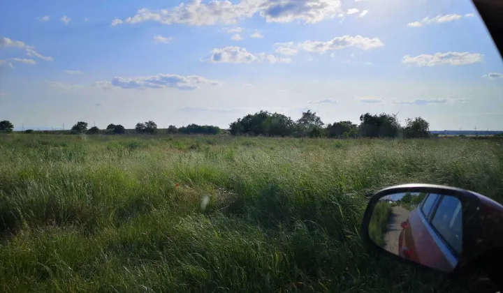 Działka budowlana Krapkowice, ul. Gimnazjalna