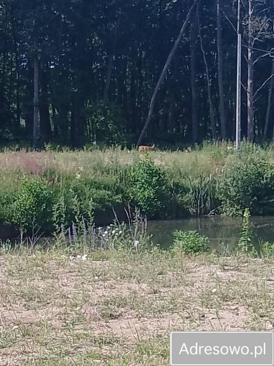 Działka inwestycyjna Bydgoszcz Łęgnowo, ul. Plątnowska