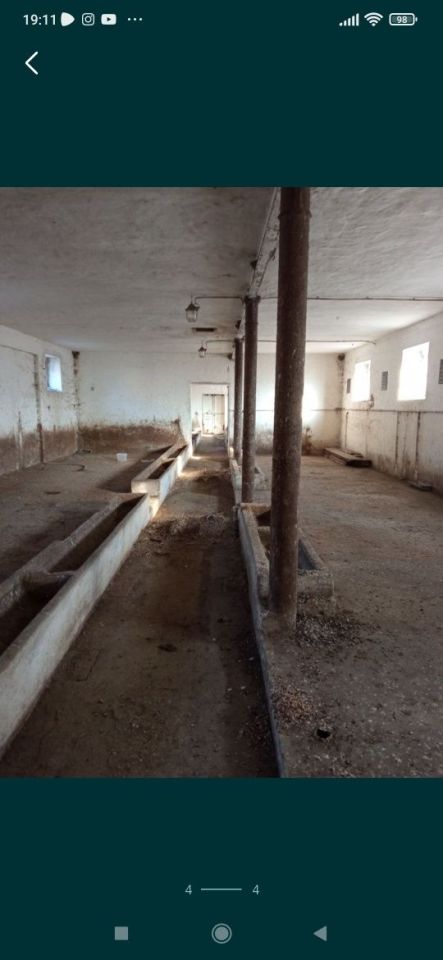 Działka budowlana Mieścisko. Zdjęcie 4