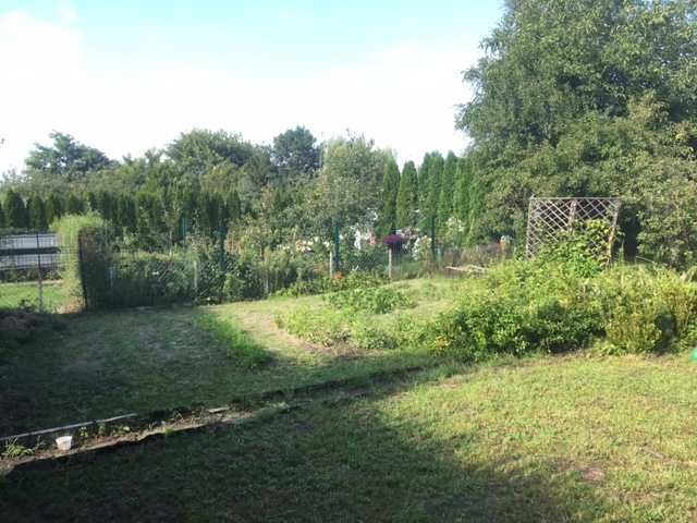 Działka rod Rypin. Zdjęcie 2