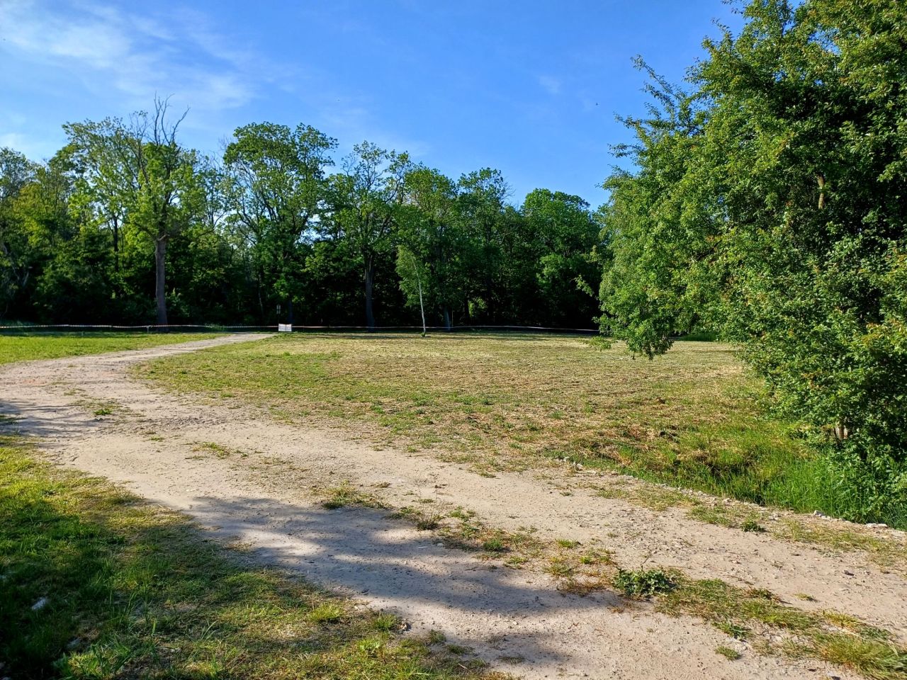 Działka budowlana Młodasko, ul. Kaźmierska. Zdjęcie 9