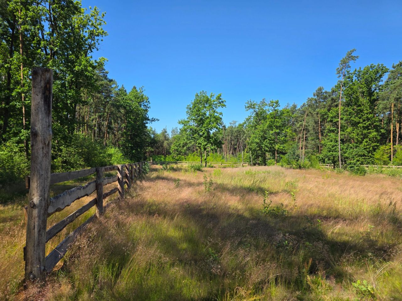 Działka inna Ostrołęka. Zdjęcie 23