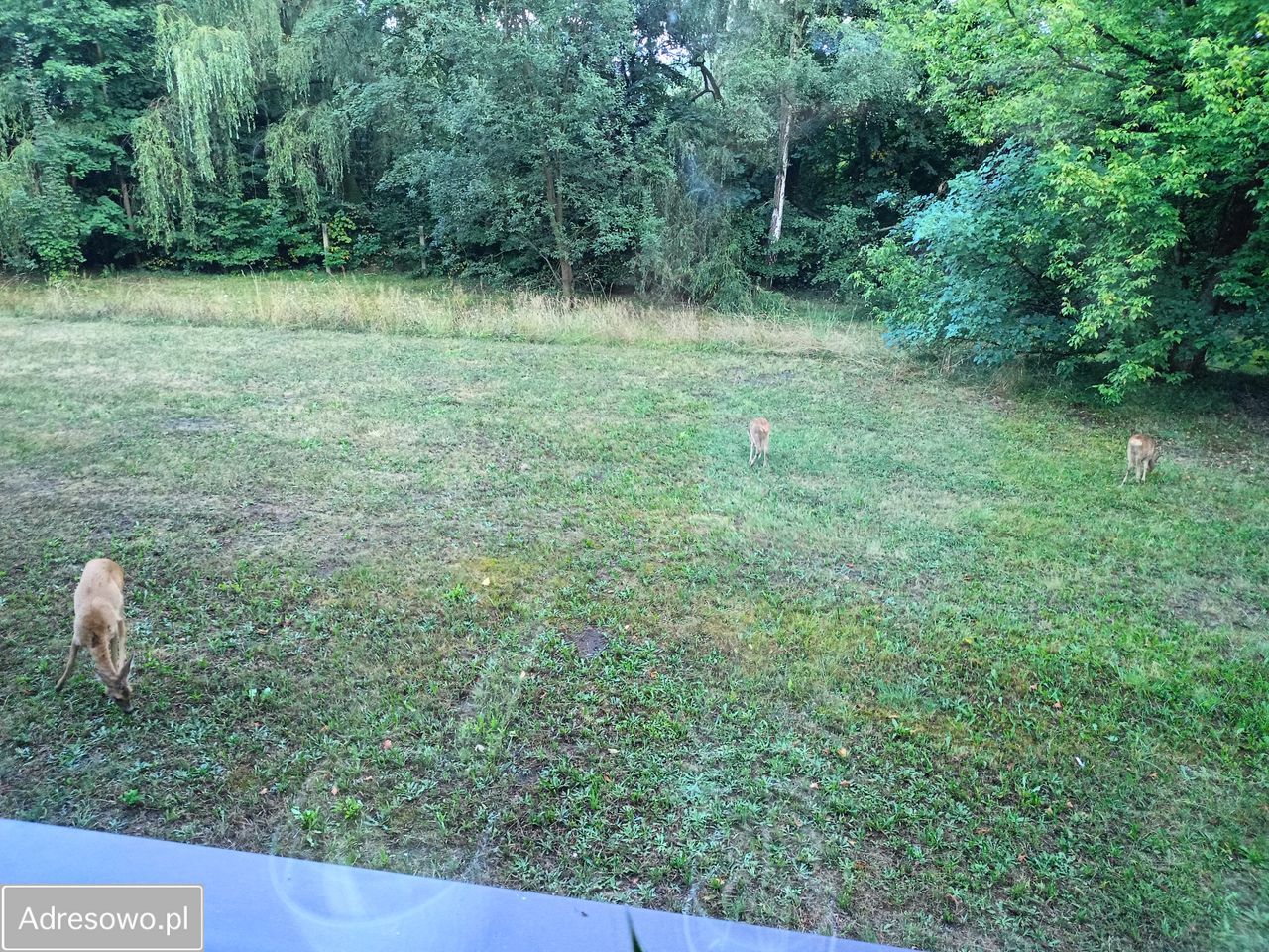 Mieszkanie 2-pokojowe Zabrze Zaborze, ul. Józefa Lompy. Zdjęcie 8