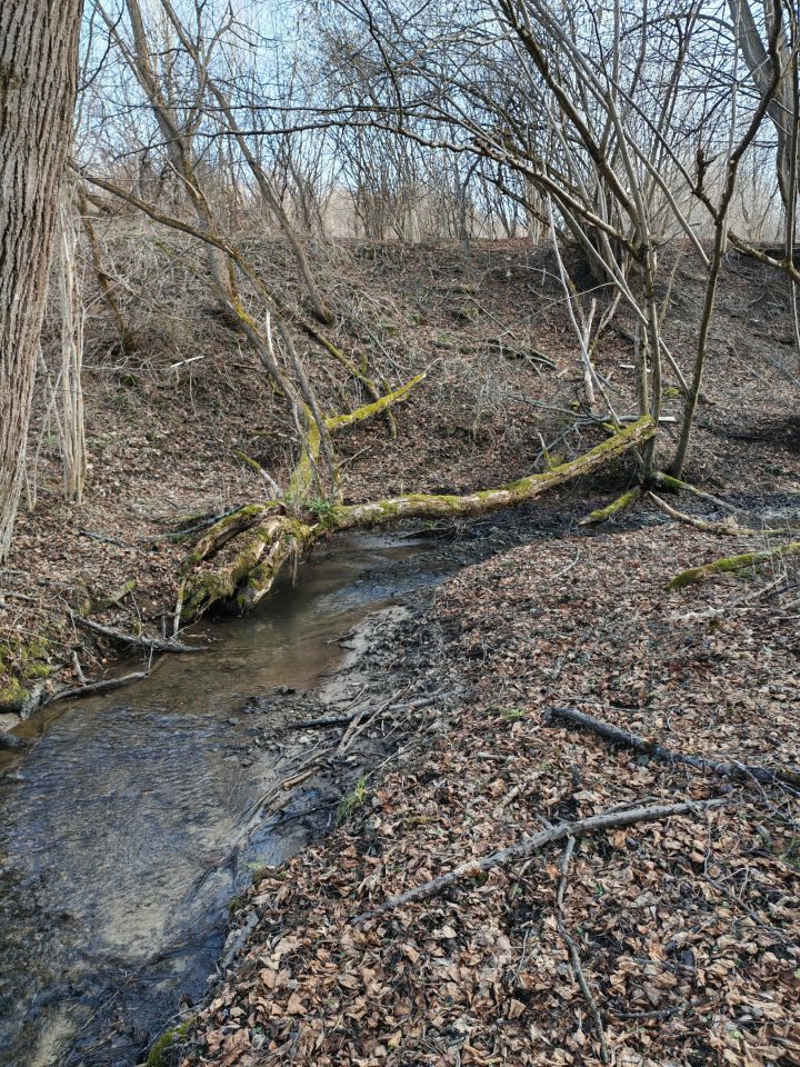 Działka rolna Olchowiec, Olchowiec. Zdjęcie 5