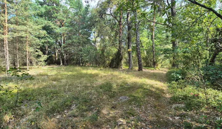 Działka rekreacyjna Płatkownica