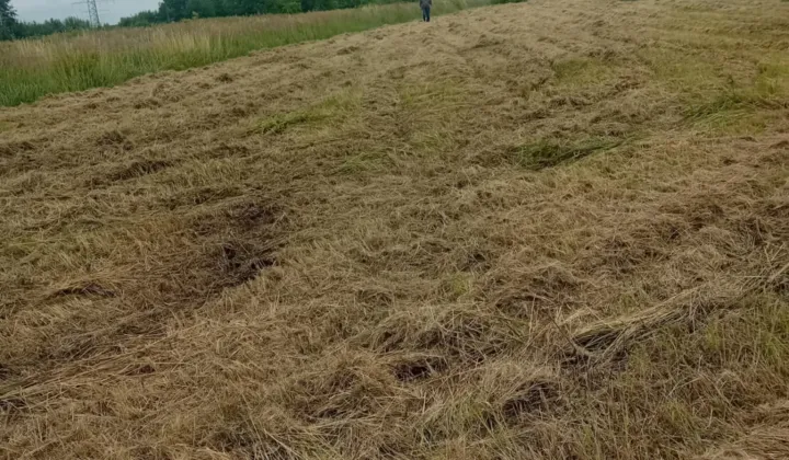 Działka budowlana Gierlachów Gierlachów Dalszy