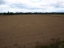 Działka rolna Drwały. Zdjęcie 3