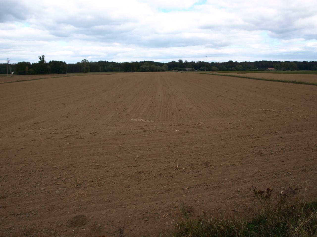 Działka rolna Drwały. Zdjęcie 4