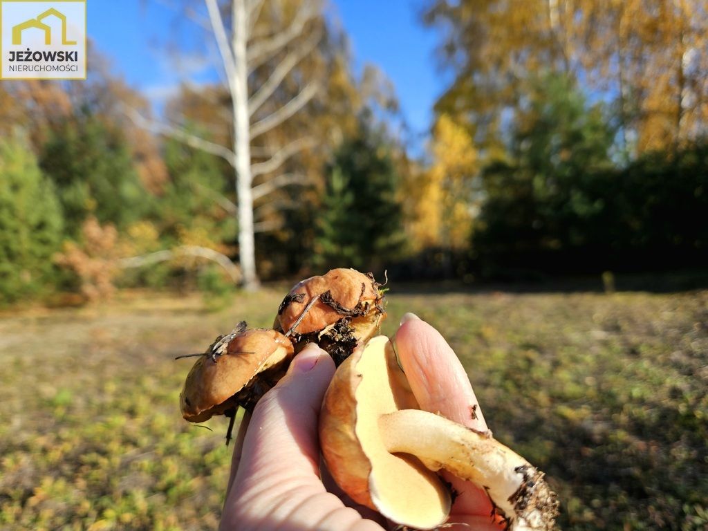 Działka budowlana Kolonia Góra Puławska. Zdjęcie 11