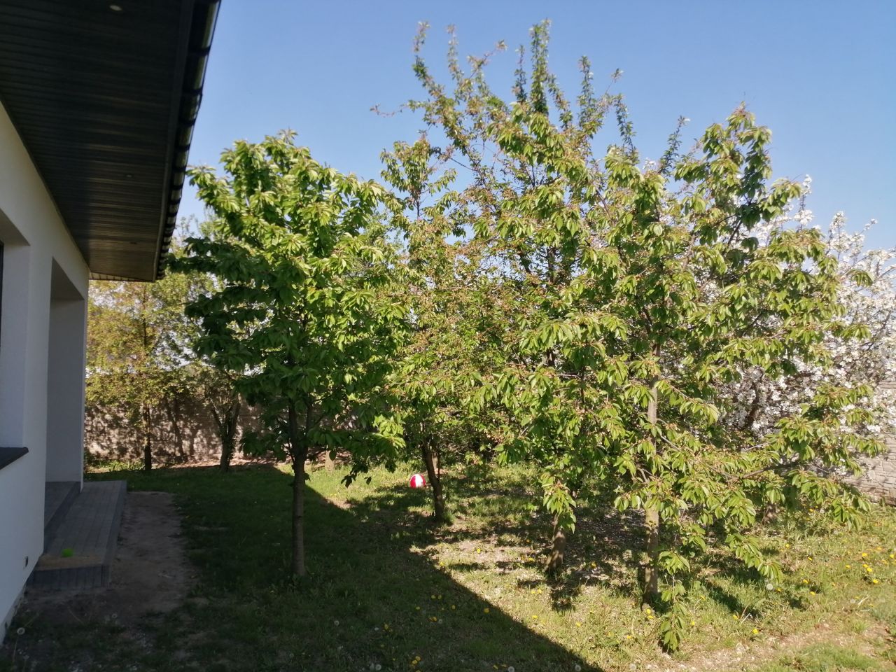 dom wolnostojący, 4 pokoje Płock. Zdjęcie 11