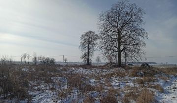 Działka siedliskowa Ostrówki