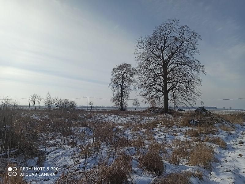 Działka siedliskowa Ostrówki. Zdjęcie 2