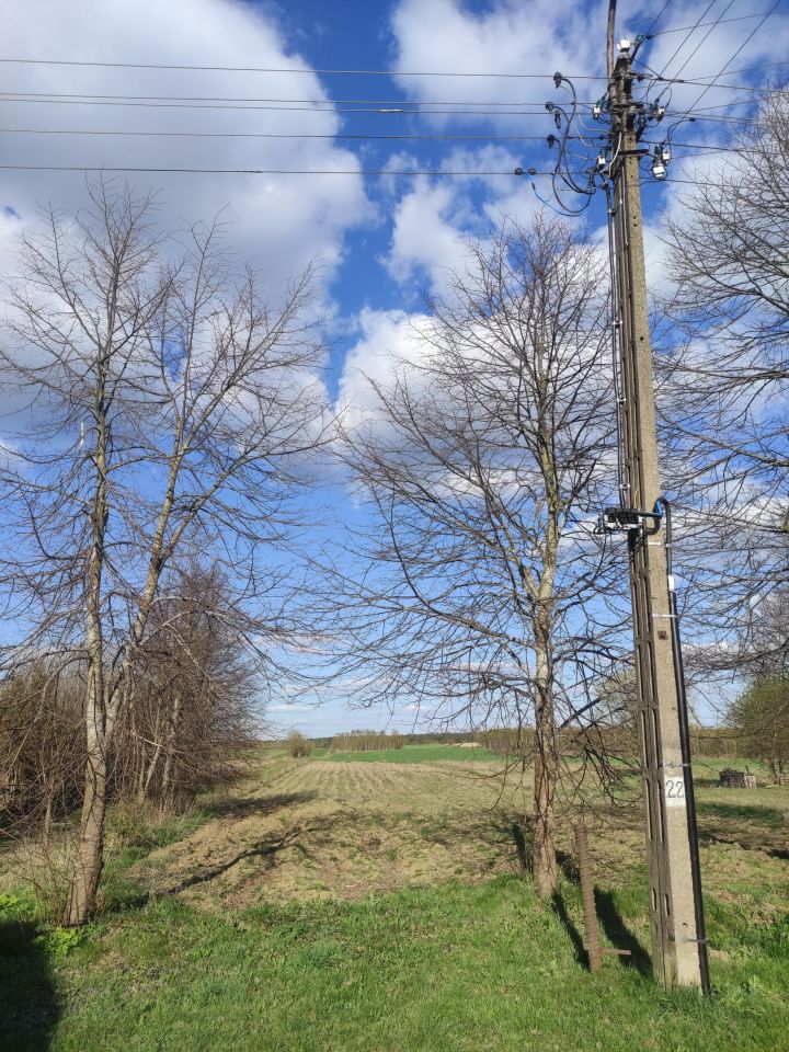 Działka rolno-budowlana Ostrów Północny. Zdjęcie 2