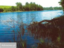 Działka budowlana Niedźwiedź. Zdjęcie 4