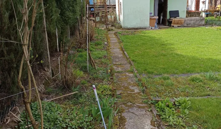 Działka rod Tychy, ul. Rybna