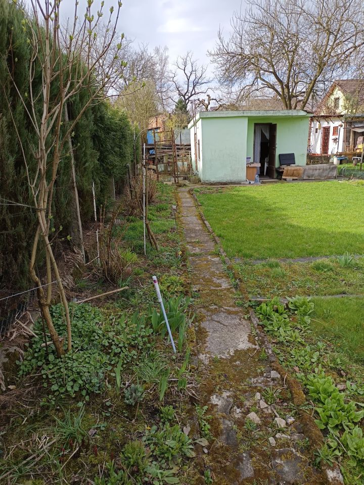 Działka rod Tychy, ul. Rybna