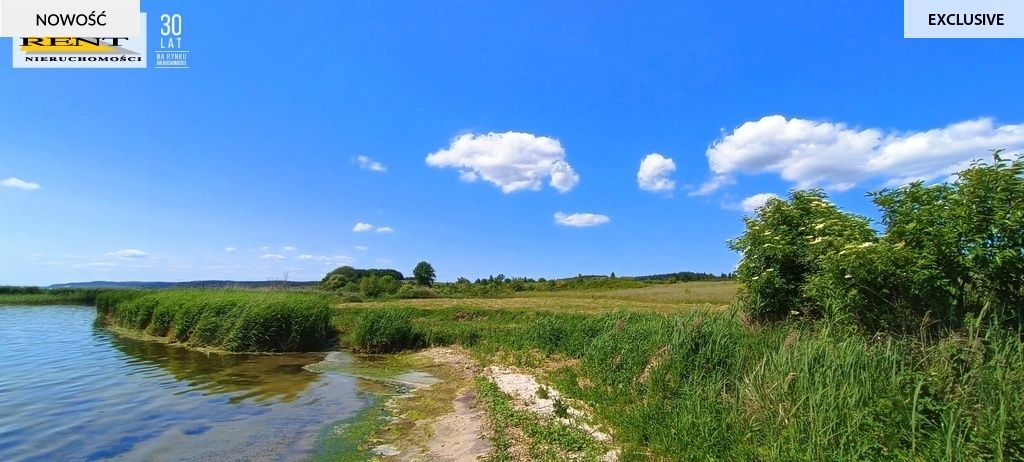 Działka rekreacyjna Płocin. Zdjęcie 2