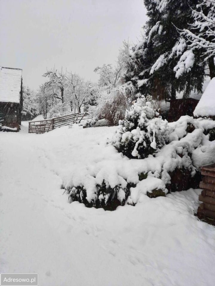 dom wolnostojący, 6 pokoi Rościszów. Zdjęcie 11