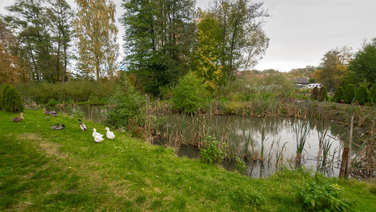 dom wolnostojący, 5 pokoi Zastawno. Zdjęcie 9