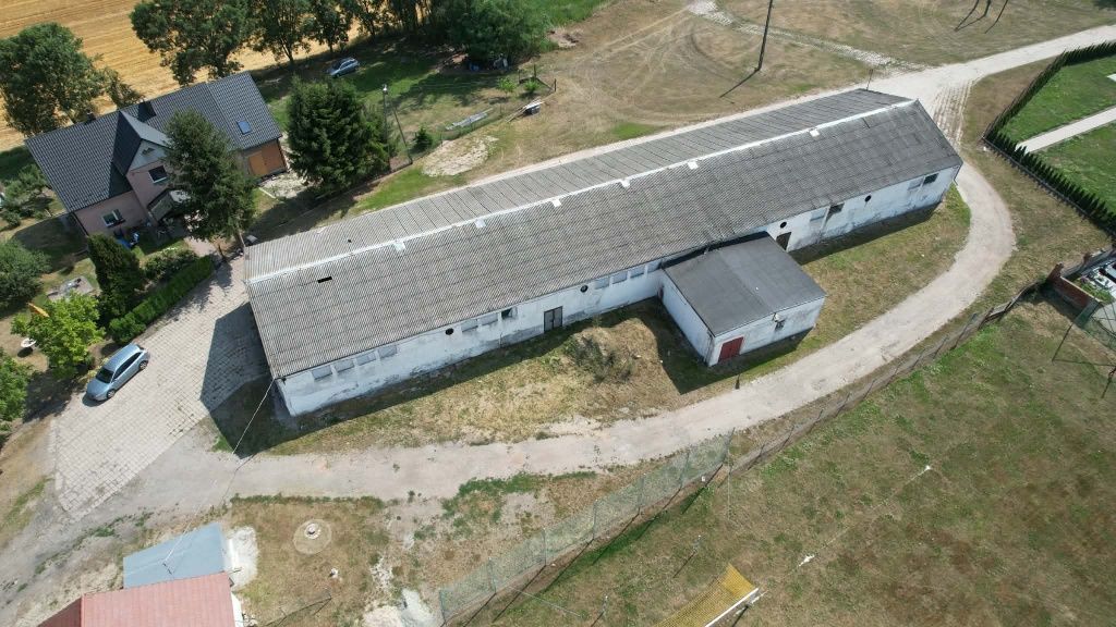 Działka budowlana Ujeździec. Zdjęcie 2