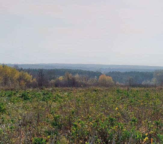 Działka budowlana Drohiczyn, ul. Marii Konopnickiej. Zdjęcie 1