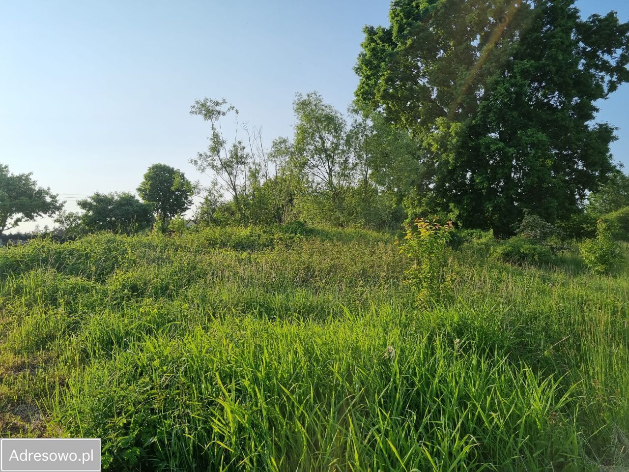 Działka budowlana Bieniowice. Zdjęcie 12