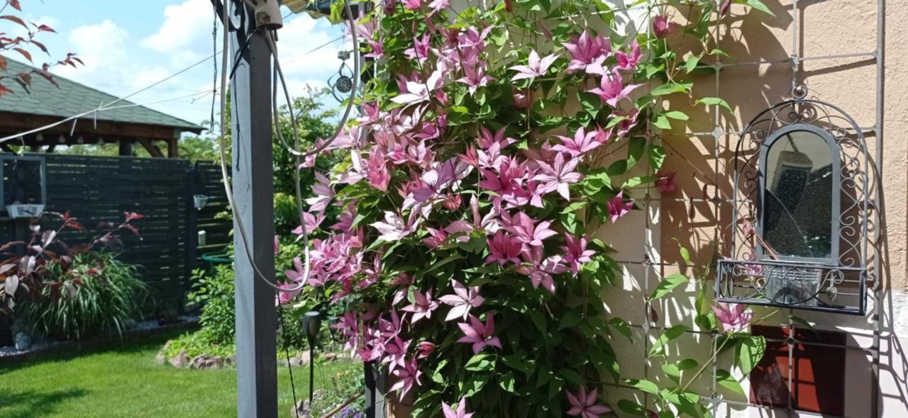 Działka rod Nowy Tomyśl. Zdjęcie 5