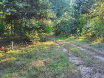 Działka rolna Borszyce. Zdjęcie 2