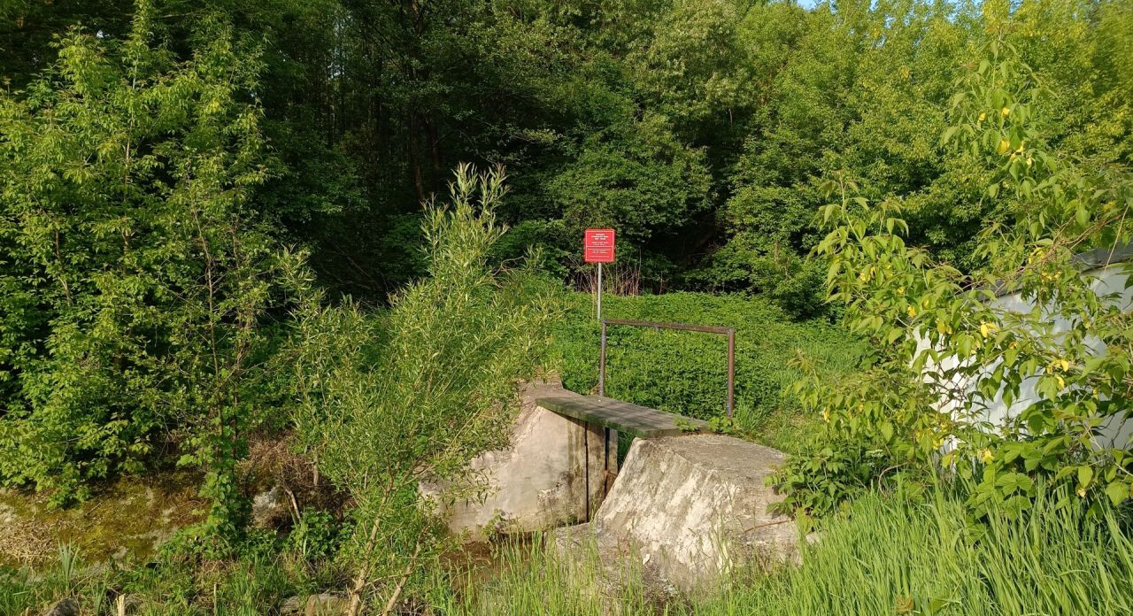 Działka rolno-budowlana Solistówka. Zdjęcie 10