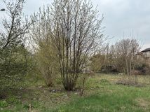 Działka budowlana Marki, ul. Szydłowiecka. Zdjęcie 3