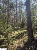 dom letniskowy Nowy Żabieniec, ul. Żabieniecka. Zdjęcie 3