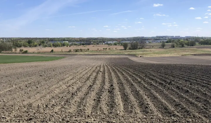 Działka rolno-budowlana Gliwice Łabędy, ul. Starogliwicka
