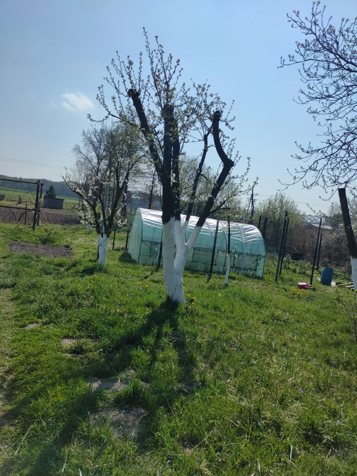 Działka rolna Trzebórz. Zdjęcie 3