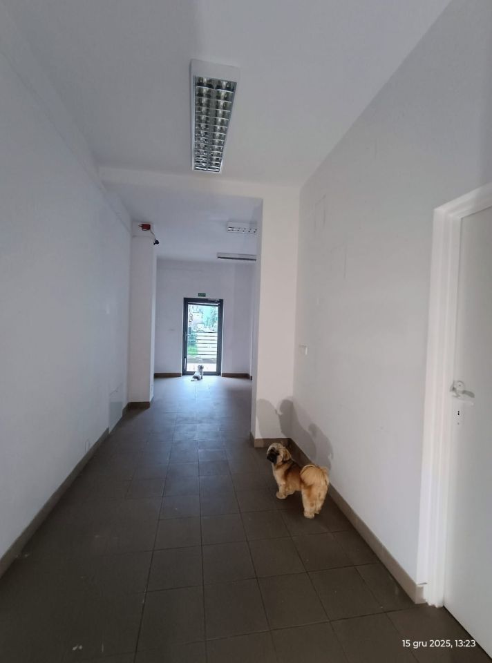 Lokal Brwinów, ul. Zgoda. Zdjęcie 2