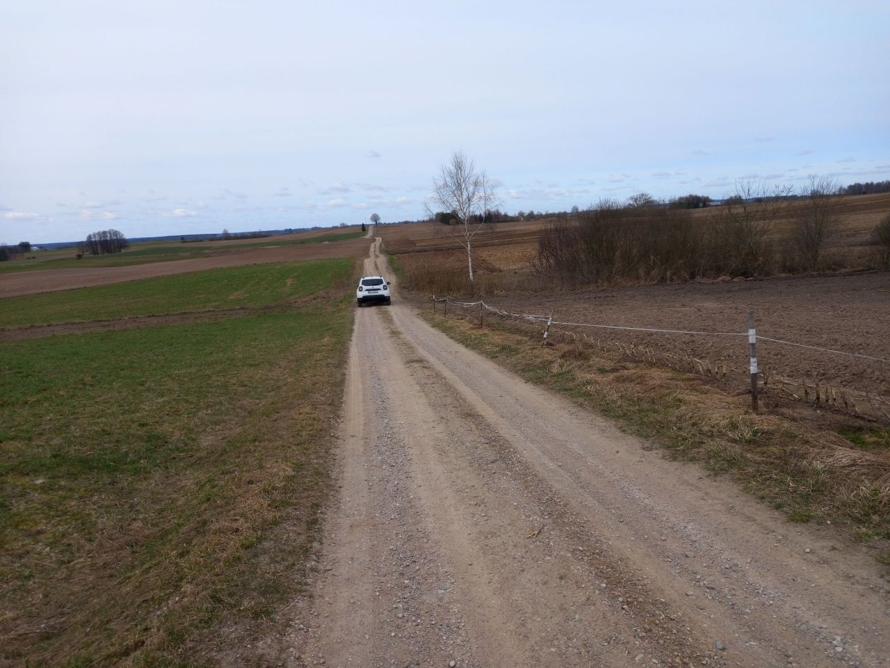 Działka rolna Olszanka. Zdjęcie 5