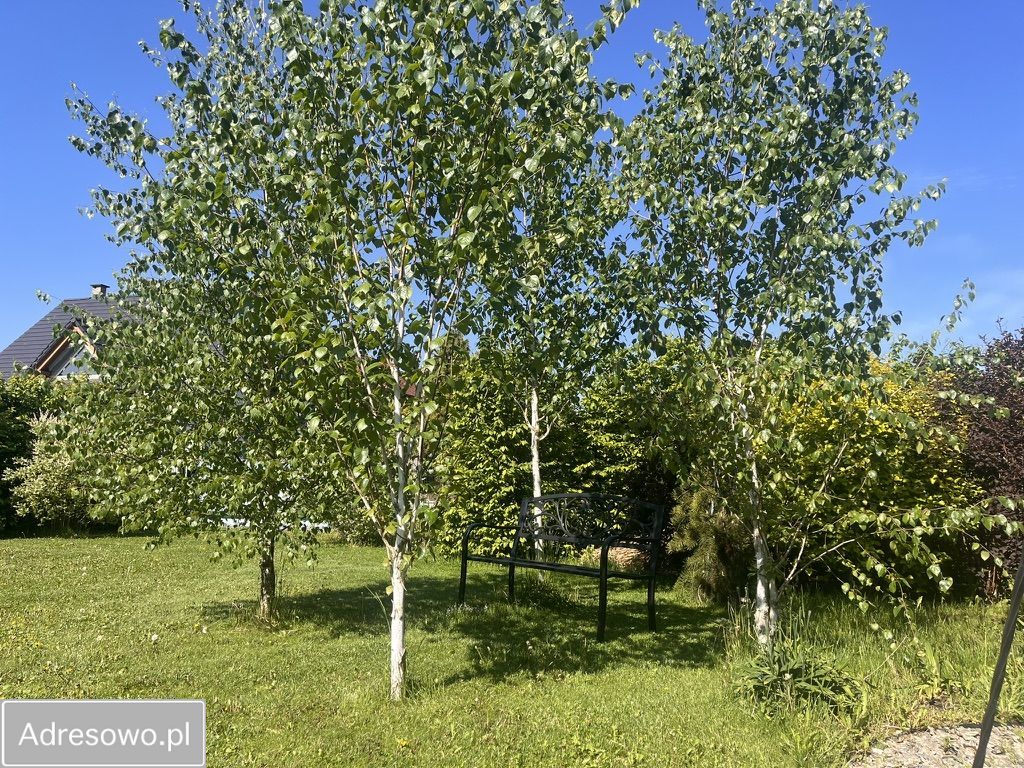 dom wolnostojący, 4 pokoje Kaniów, ul. Dankowicka. Zdjęcie 14