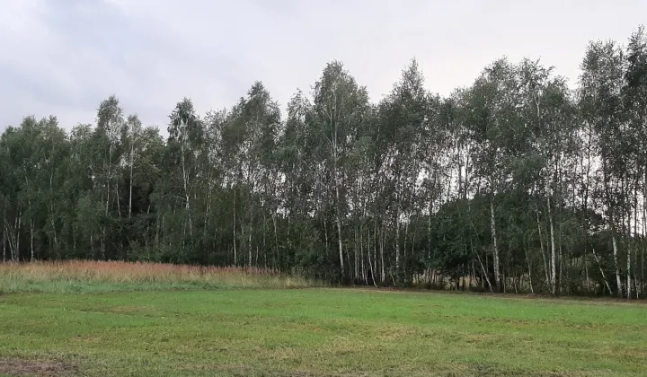 Działka budowlana Trzemosna