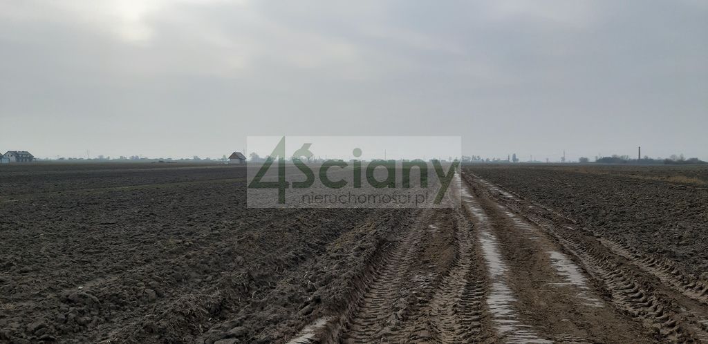 Działka budowlana Zaborówek. Zdjęcie 2