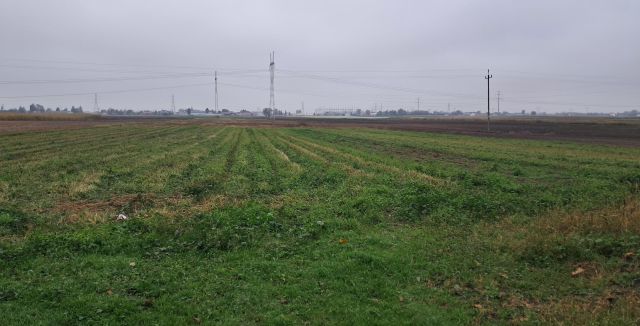 Działka budowlana Topolin, ul. Bolesława Chrobrego. Zdjęcie 1