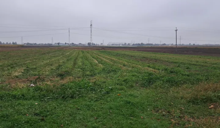 Działka budowlana Topolin, Króla Bolesława Chrobrego