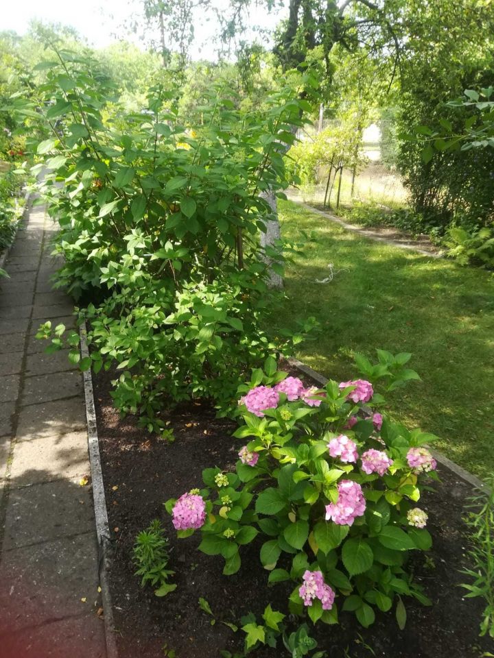 Działka rod Gliwice, ul. Andrzeja Mielęckiego. Zdjęcie 6