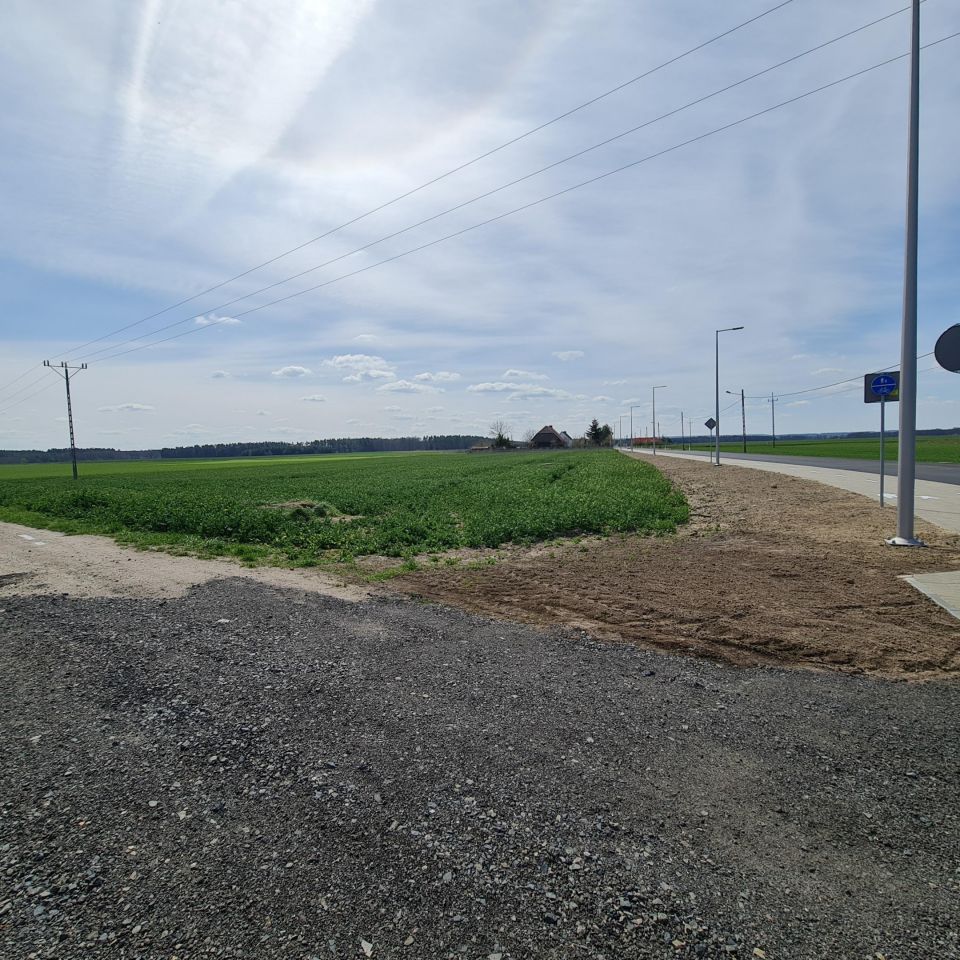 Działka rolno-budowlana Rzeczyca. Zdjęcie 2