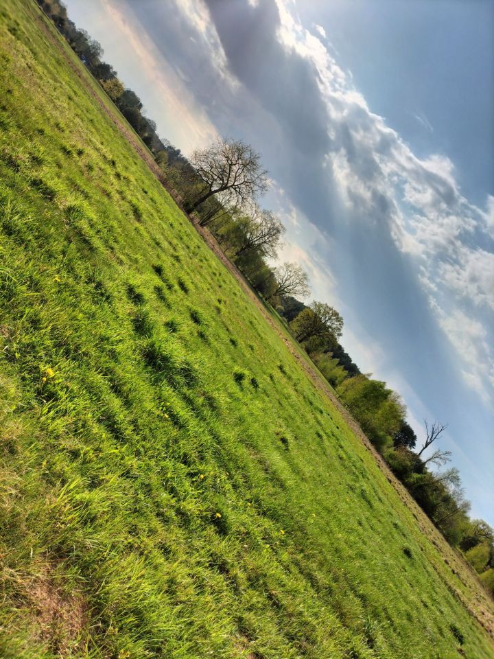 Działka rekreacyjna Orłowo. Zdjęcie 5