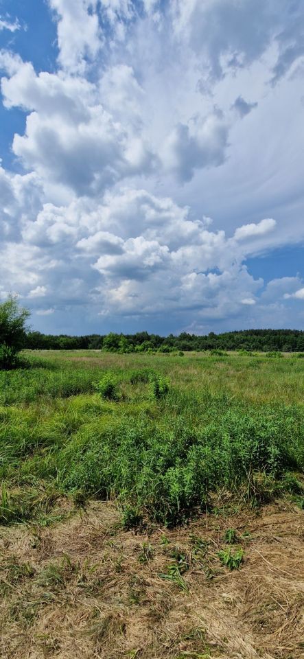 Działka siedliskowa Bukowinka. Zdjęcie 8